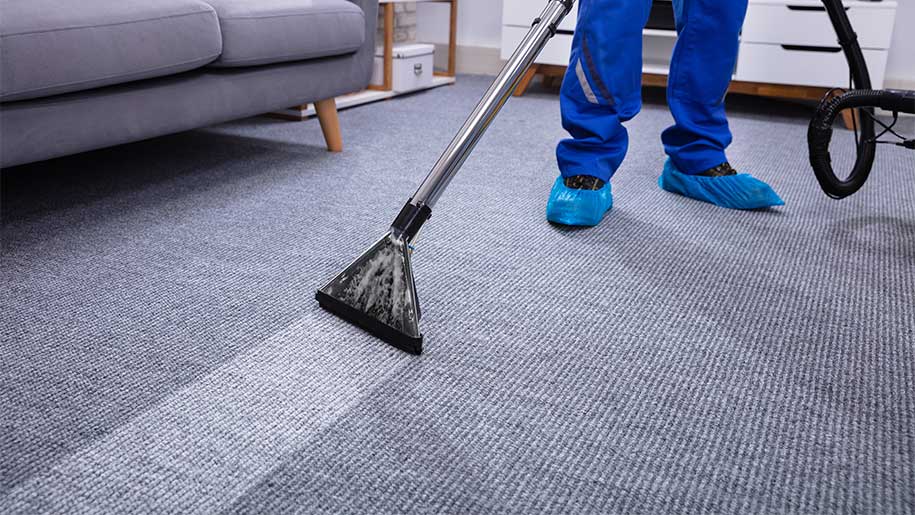 Choose the Best Carpet Cleaners